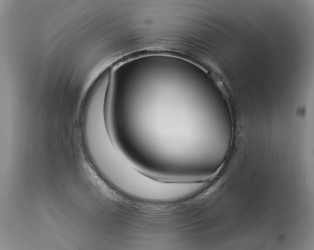 X0000113211122200909241417