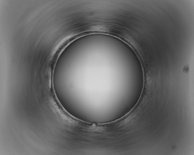 X0000113211123200909241417