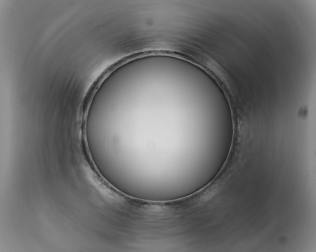 X0000113211124200909241417