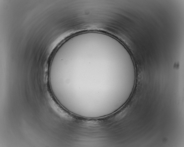 X0000113211126200909241417