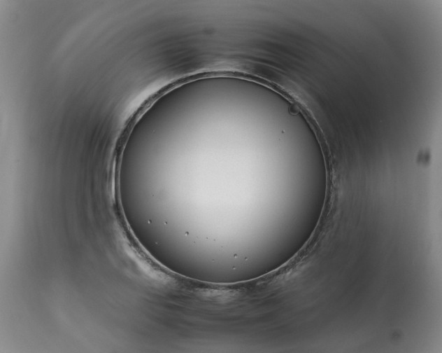 X0000113211127200909241417