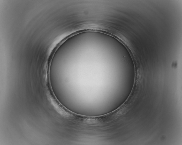 X0000113211128200909241417