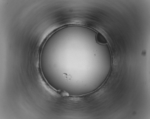 X0000113211131200909241417