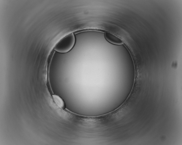 X0000113211132200909241417