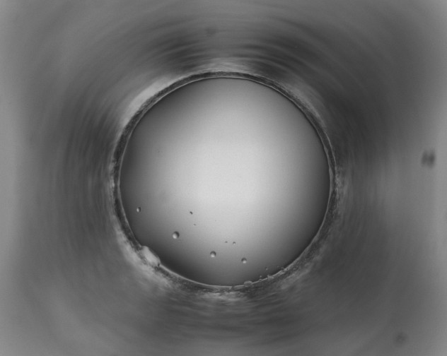 X0000113211133200909241417