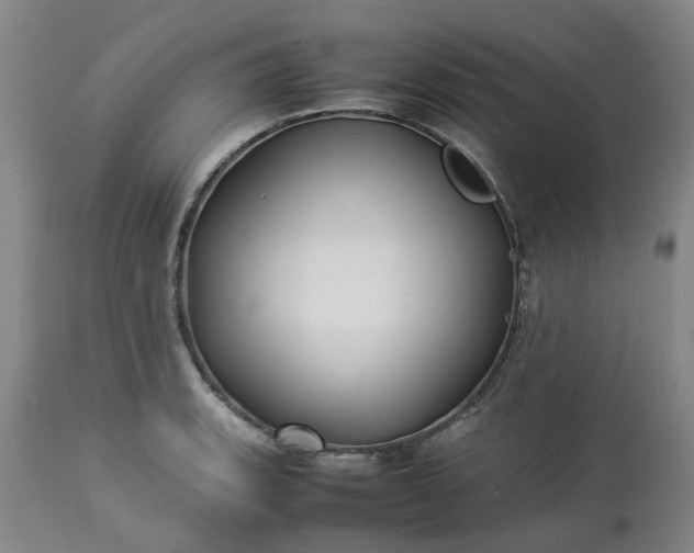 X0000113211135200909241417