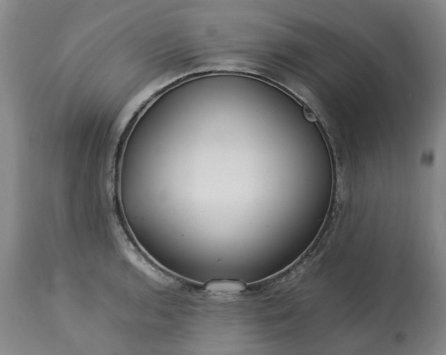 X0000113211136200909241417