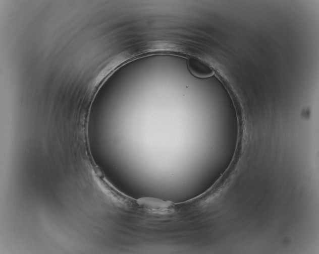 X0000113211137200909241417