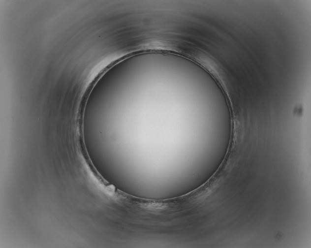 X0000113211141200909241417