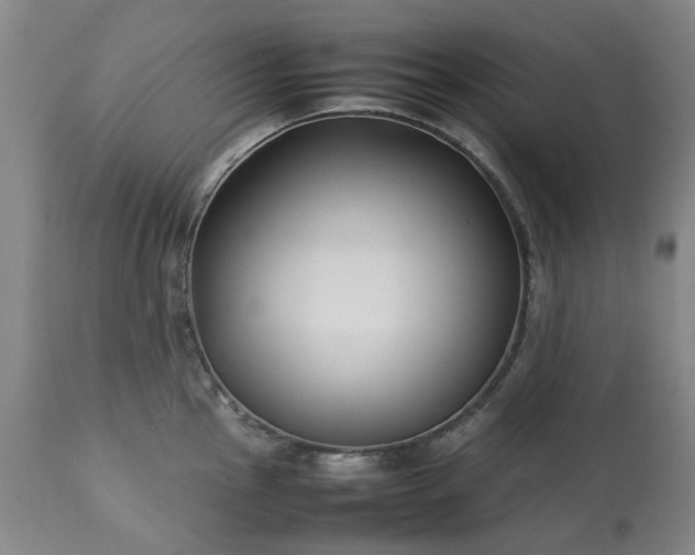 X0000113211145200909241417