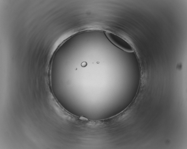 X0000113211146200909241417