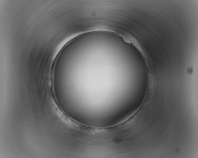 X0000113211148200909241417