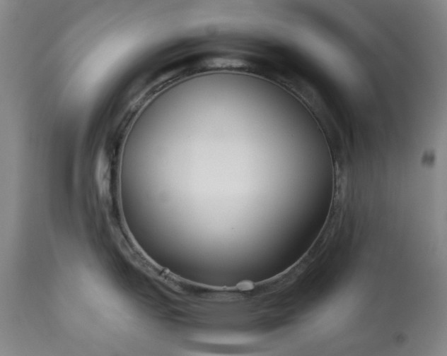 X0000113211151200909241417