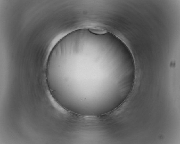 X0000113211152200909241417