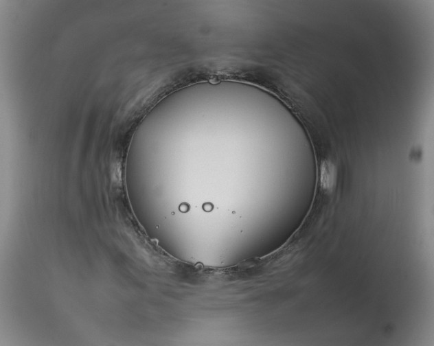 X0000113211155200909241416