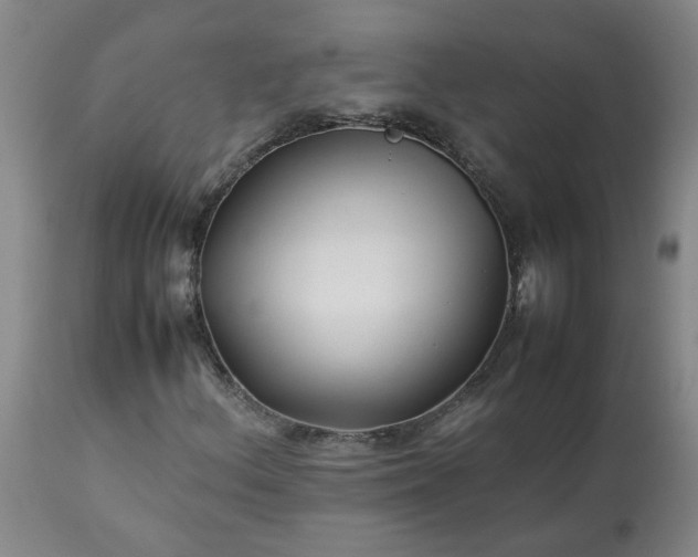 X0000113211156200909241416