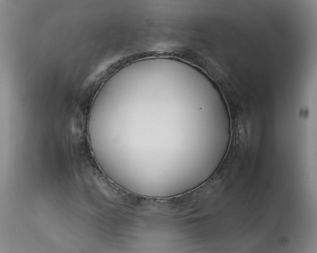 X0000113211158200909241416