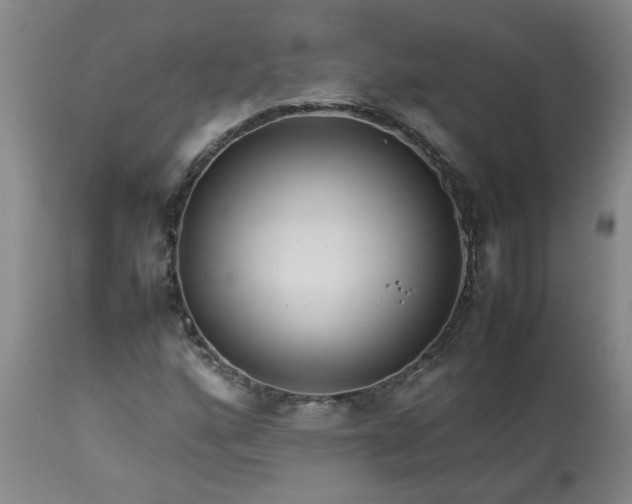 X0000113211160200909241416