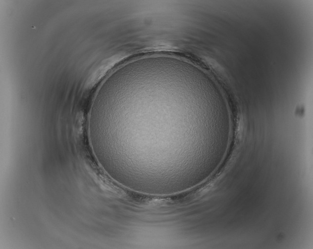 X0000113211161200909241416