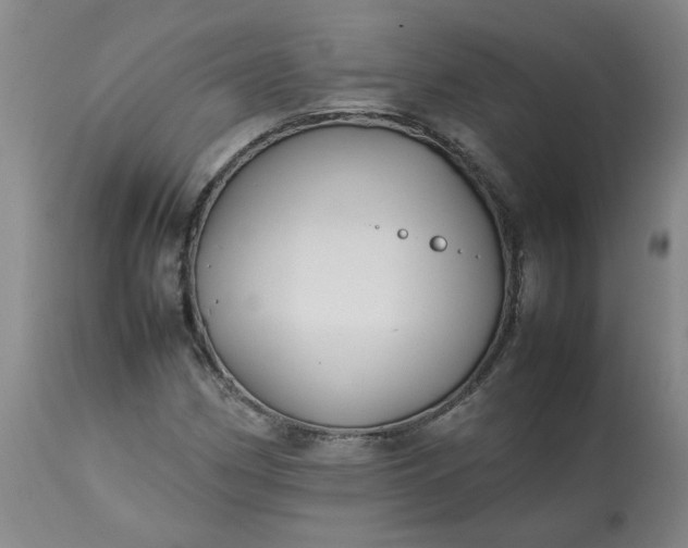 X0000113211162200909241416