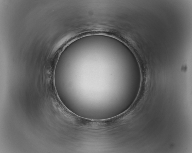 X0000113211163200909241416