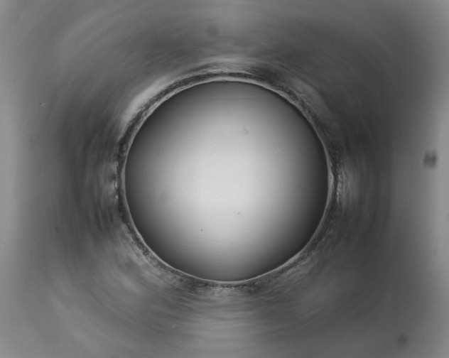 X0000113211164200909241416