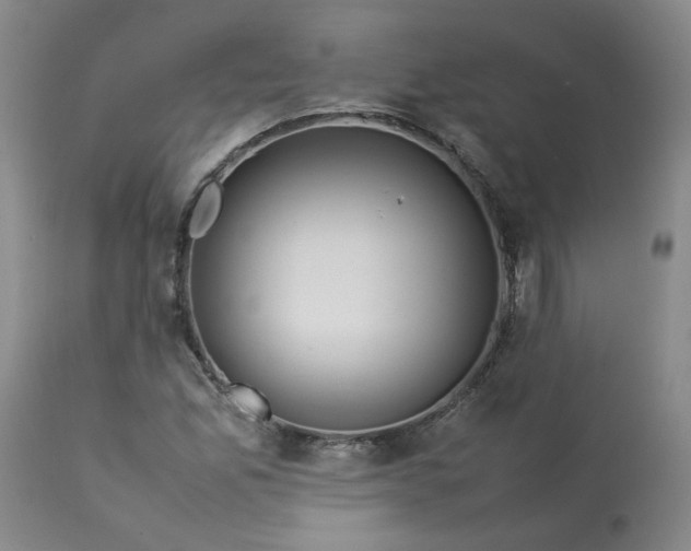 X0000113211165200909241416