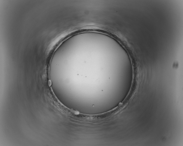 X0000113211167200909241416