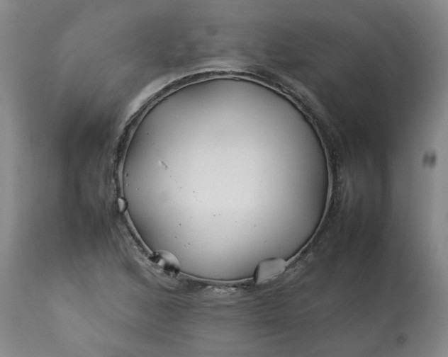 X0000113211168200909241416