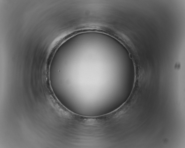 X0000113211172200909241416