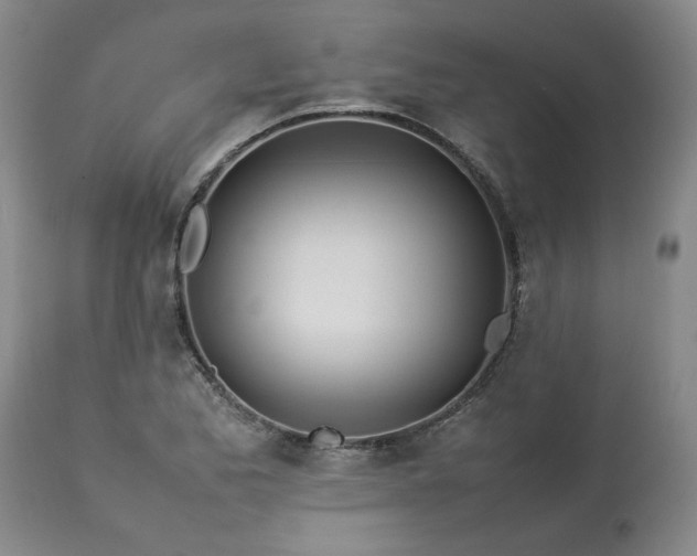 X0000113211173200909241416