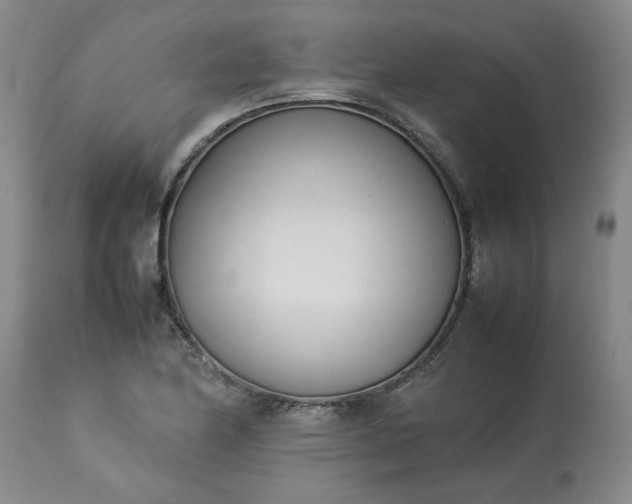 X0000113211174200909241416