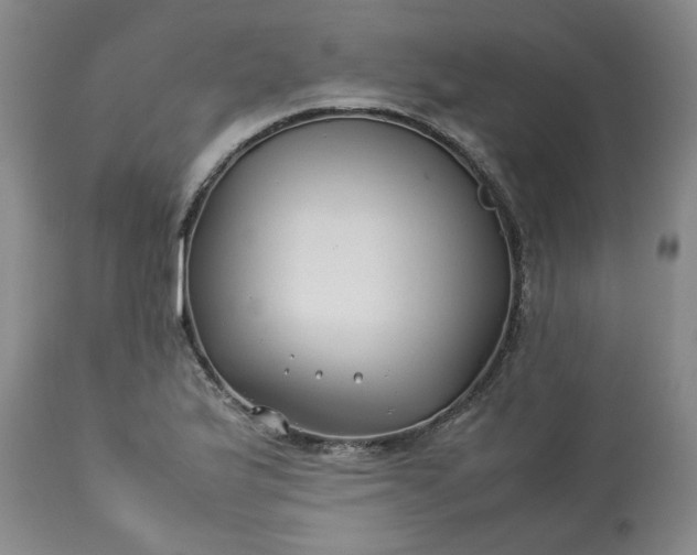 X0000113211175200909241416