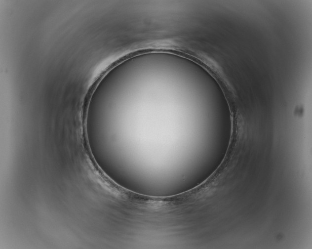 X0000113211176200909241416