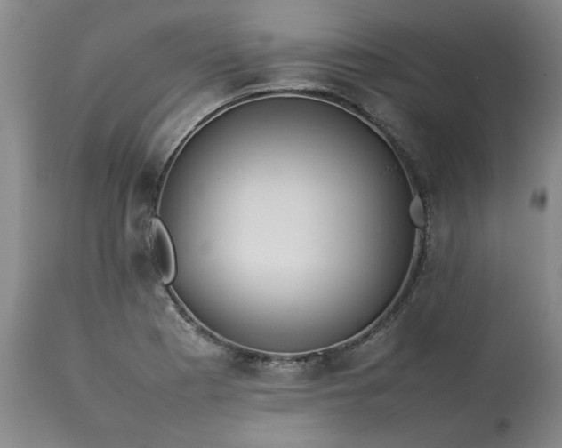 X0000113211177200909241416