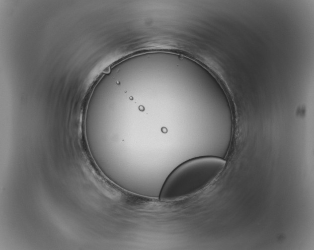 X0000113211179200909241416