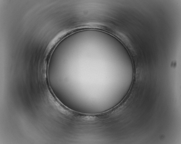 X0000113211180200909241416