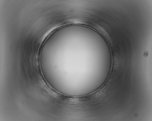 X0000113211182200909241416