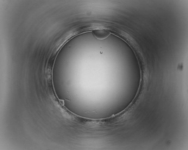 X0000113211185200909241416