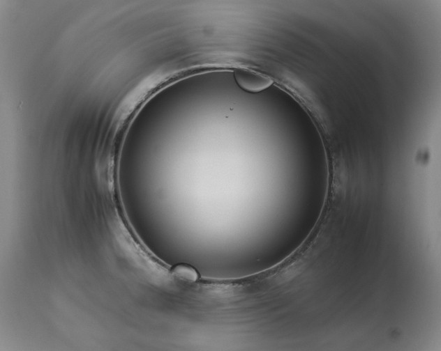 X0000113211188200909241416