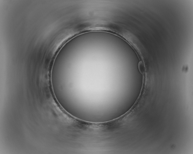 X0000113211189200909241416