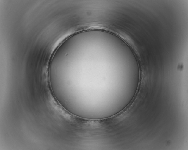 X0000113211190200909241416