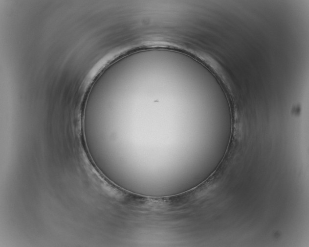 X0000113211191200909241416