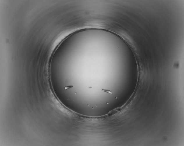 X0000113211192200909241416