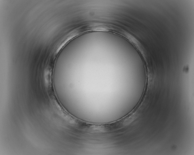 X0000113211194200909241416