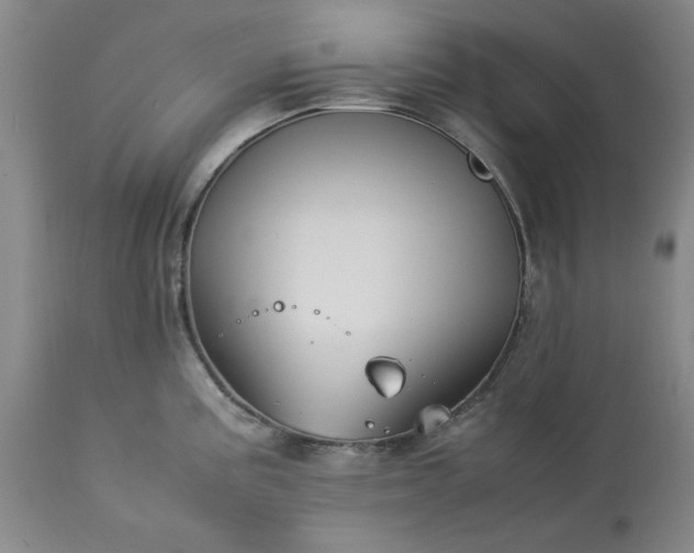 X0000113211195200909241416