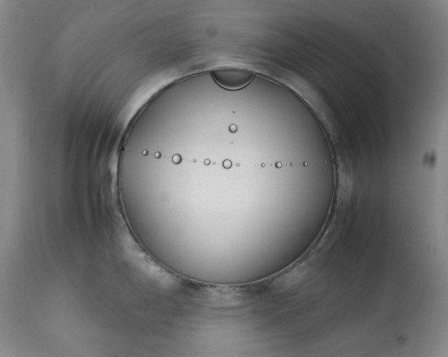 X0000113211198200909241416