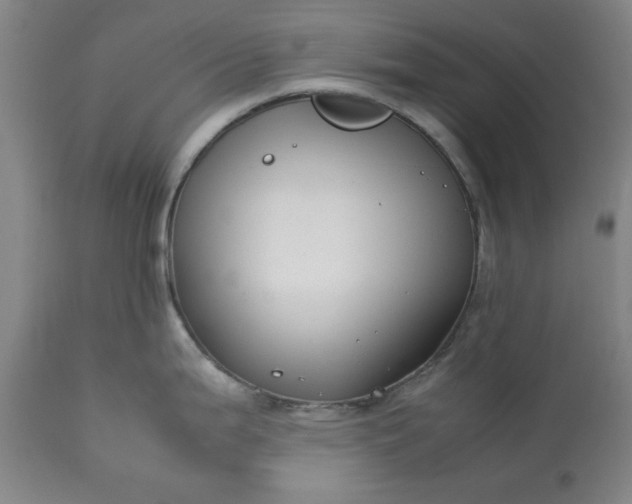 X0000113211199200909241416