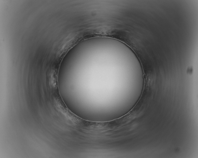 X0000113211202200909241415