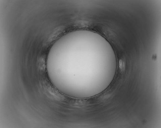 X0000113211203200909241415